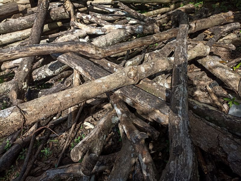 Debris Removal Service